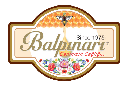 cropped WhatsApp Gorsel 2025 10 29 saat 14.48.44_934b134b 1